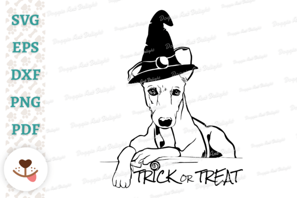 Halloween Whippet Dog in Witch Hat Review