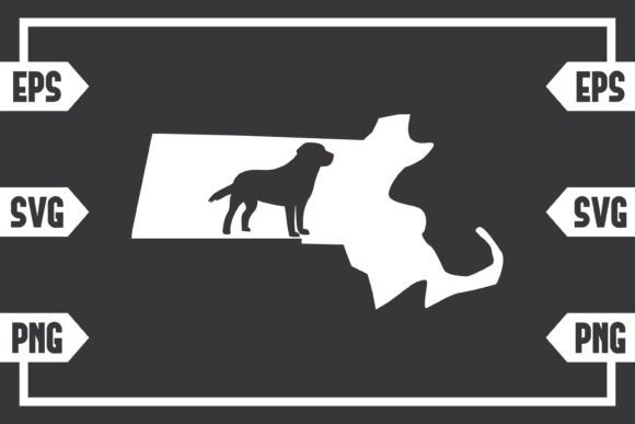 Massachusetts - Dog: A Designer’s Hands-On Review
