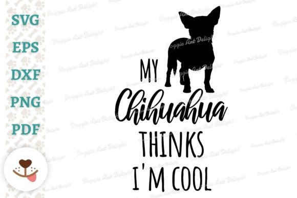 My Chihuahua Thinks I'm Cool - Funny Dog