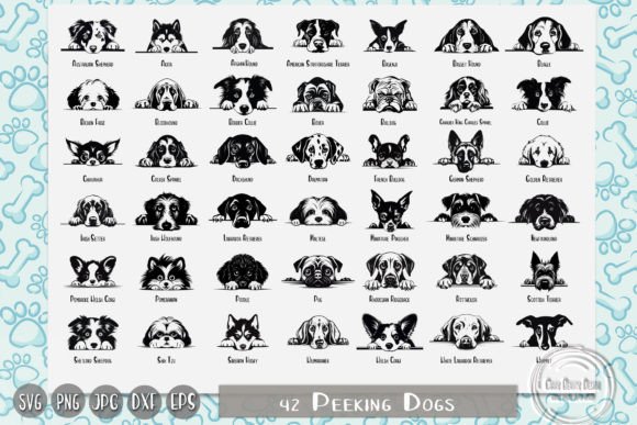 Peeking Dogs, Dog Breeds, Dog Lover – A Hands-On Review
